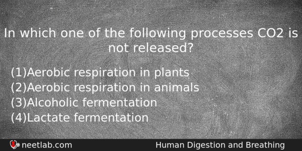 In Which One Of The Following Processes Co2 Is Not Biology Question 