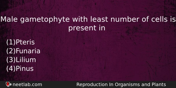 Male Gametophyte With Least Number Of Cells Is Present In Biology Question 