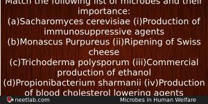 Match The Following List Of Microbes And Their Importance Asacharomyces Biology Question