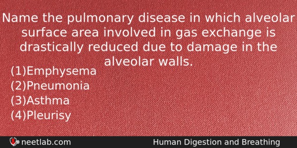 Name The Pulmonary Disease In Which Alveolar Surface Area Involved Biology Question 