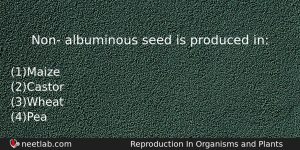 Non Albuminous Seed Is Produced In Biology Question