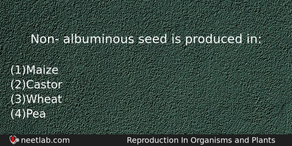 Non Albuminous Seed Is Produced In Biology Question 