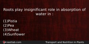 Roots Play Insignificant Role In Absorption Of Water In Biology Question