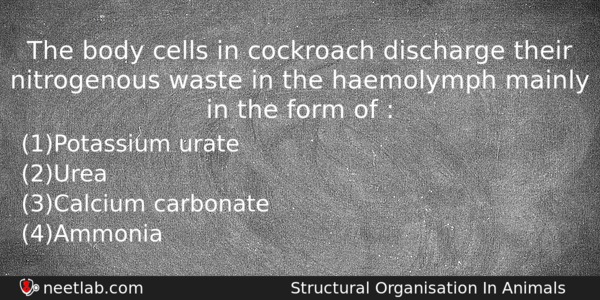 The Body Cells In Cockroach Discharge Their Nitrogenous Waste In Biology Question 