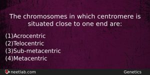 The Chromosomes In Which Centromere Is Situated Close To One Biology Question