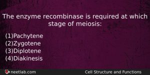 The Enzyme Recombinase Is Required At Which Stage Of Meiosis Biology Question