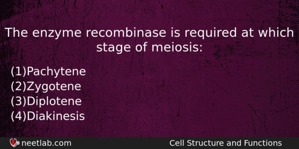 The Enzyme Recombinase Is Required At Which Stage Of Meiosis Biology Question 