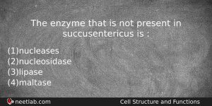 The Enzyme That Is Not Present In Succusentericus Is Biology Question