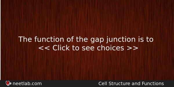 The Function Of The Gap Junction Is To Biology Question 