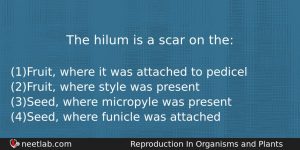 The Hilum Is A Scar On The Biology Question