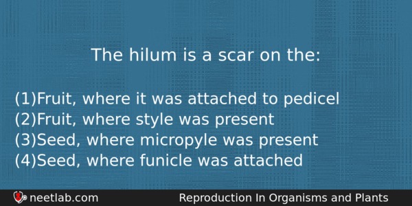 The Hilum Is A Scar On The Biology Question 