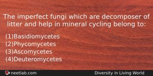 The Imperfect Fungi Which Are Decomposer Of Litter And Help Biology Question