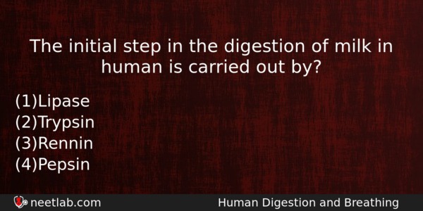 The Initial Step In The Digestion Of Milk In Human Biology Question 