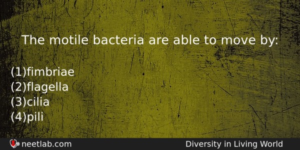 The Motile Bacteria Are Able To Move By Biology Question 