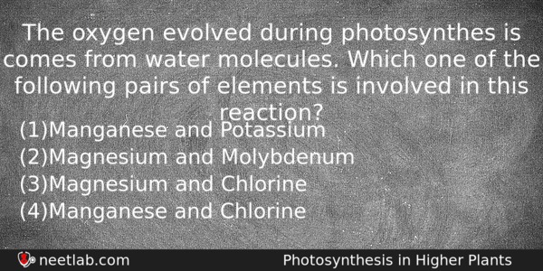 The Oxygen Evolved During Photosynthes Is Comes From Water Molecules Biology Question 
