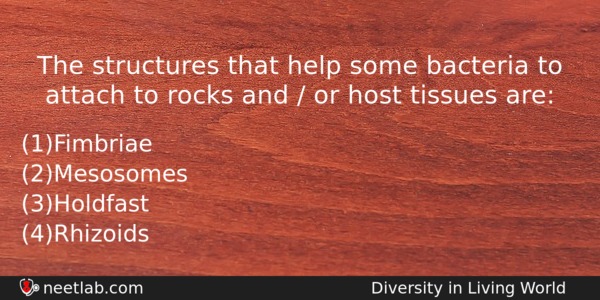 The Structures That Help Some Bacteria To Attach To Rocks Biology Question 