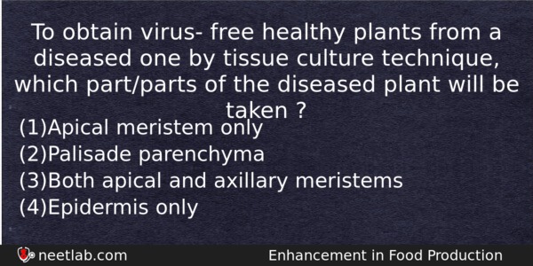 To Obtain Virus Free Healthy Plants From A Diseased One Biology Question 
