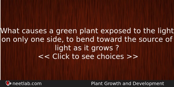 What Causes A Green Plant Exposed To The Light On Biology Question 