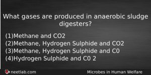 What Gases Are Produced In Anaerobic Sludge Digesters Biology Question