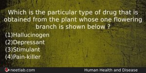 Which Is The Particular Type Of Drug That Is Obtained Biology Question