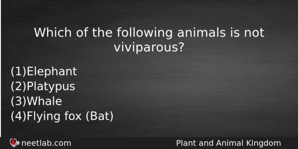 Which Of The Following Animals Is Not Viviparous Biology Question 