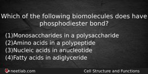 Which Of The Following Biomolecules Does Have Phosphodiester Bond Biology Question