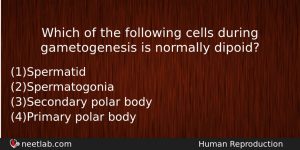 Which Of The Following Cells During Gametogenesis Is Normally Dipoid Biology Question