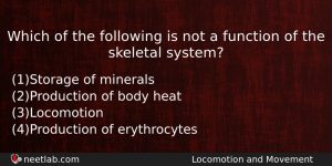 Which Of The Following Is Not A Function Of The Biology Question