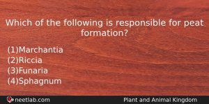 Which Of The Following Is Responsible For Peat Formation Biology Question