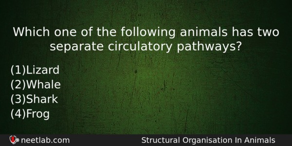 Which One Of The Following Animals Has Two Separate Circulatory Biology Question 