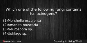 Which One Of The Following Fungi Contains Hallucinogens Biology Question
