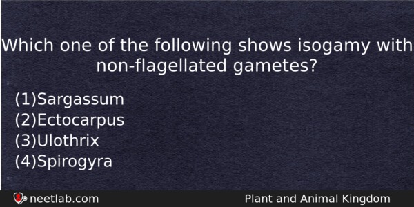 Which One Of The Following Shows Isogamy With Nonflagellated Gametes Biology Question 