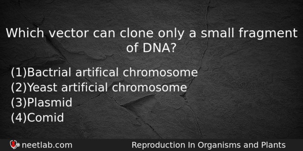 Which Vector Can Clone Only A Small Fragment Of Dna Biology Question 