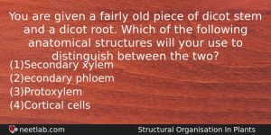 You Are Given A Fairly Old Piece Of Dicot Stem Biology Question
