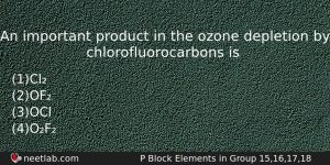 An Important Product In The Ozone Depletion By Chlorofluorocarbons Is Chemistry Question