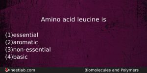 Amino Acid Leucine Is Chemistry Question