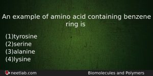 An Example Of Amino Acid Containing Benzene Ring Is Chemistry Question