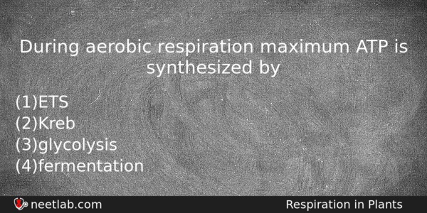 During Aerobic Respiration Maximum Atp Is Synthesized By Biology Question 