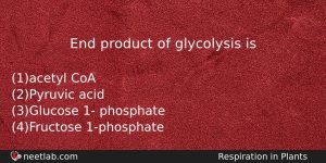 End Product Of Glycolysis Is Biology Question