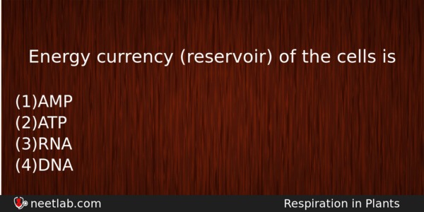 Energy Currency Reservoir Of The Cells Is Biology Question 