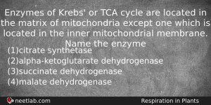 Enzymes Of Krebs Or Tca Cycle Are Located In The Biology Question