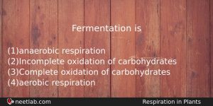 Fermentation Is Biology Question