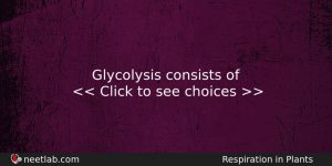 Glycolysis Consists Of Biology Question