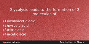 Glycolysis Leads To The Formation Of 2 Molecules Of Biology Question