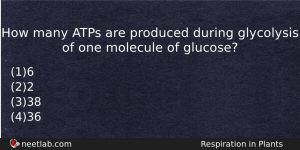 How Many Atps Are Produced During Glycolysis Of One Molecule Biology Question
