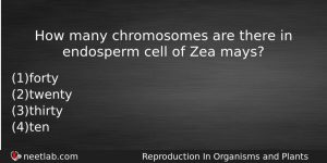 How Many Chromosomes Are There In Endosperm Cell Of Zea Biology Question