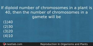 If Diploid Number Of Chromosomes In A Plant Is 40 Biology Question