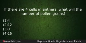 If There Are 4 Cells In Anthers What Will The Biology Question