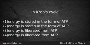 In Krebs Cycle Biology Question