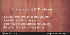 In Krebs Cycle Gtp Is Formed In Biology Question